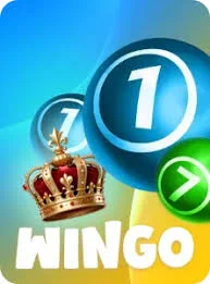 Raja Game Account Verification Guide 